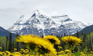 Canada’s mountains feeling the heat of climate change