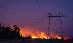 Advanced wildfire research could save billions, protect vital power supply